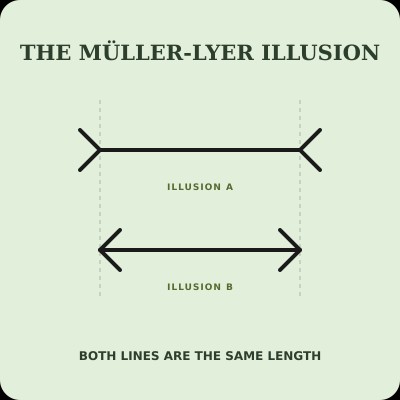 Ilusión de Müller-Lyer